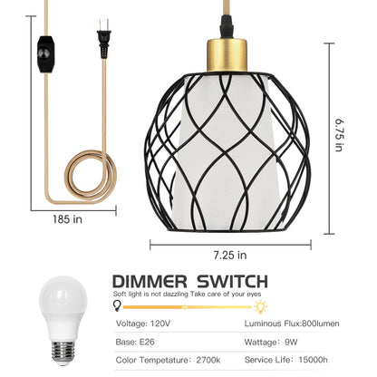 Pendant Light with Black Dome Cage Frame & Adjustable Power Cord