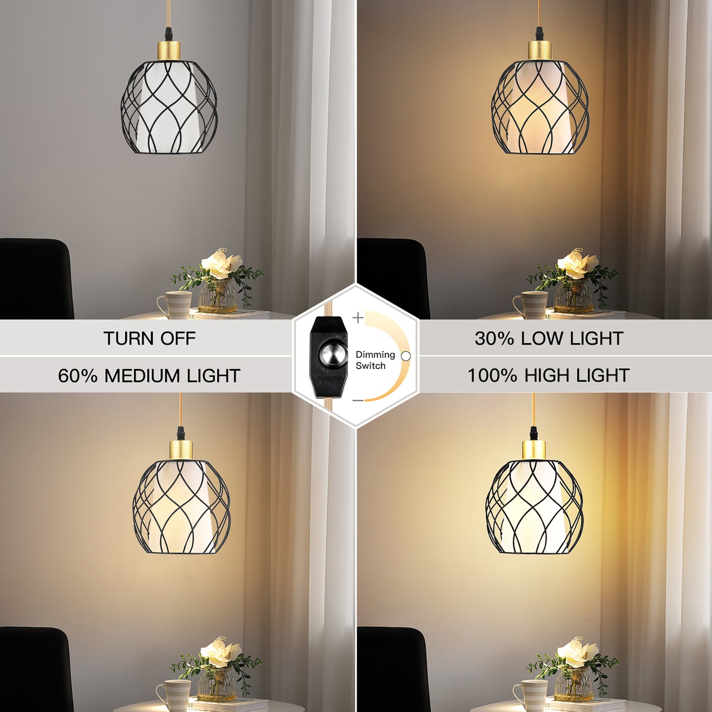 Pendant Light with Black Dome Cage Frame & Adjustable Power Cord