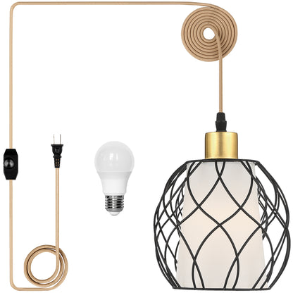 Pendant Light with Black Dome Cage Frame & Adjustable Power Cord