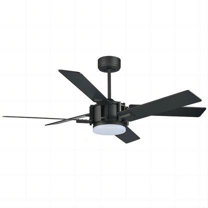 Elegant Modern Style DC Motor Ceiling Fans Blades Remote Control Decorative Ceiling Fan with Led Light